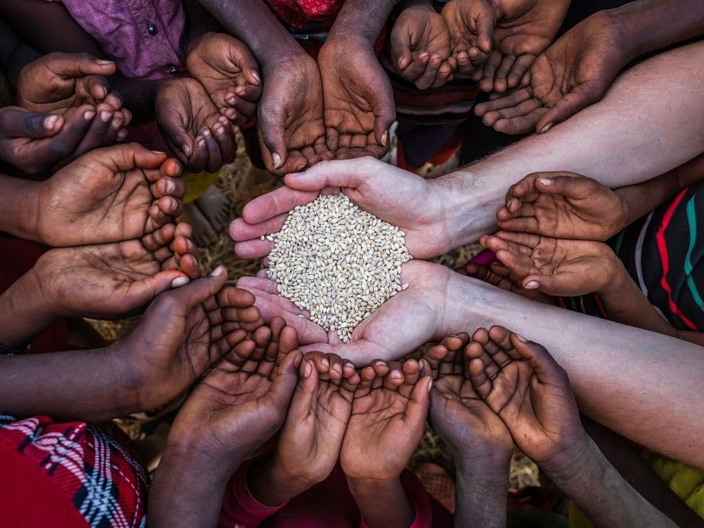 “Food Security” Adalah Keamanan Nasional, Lebih Penting dari Persenjataan