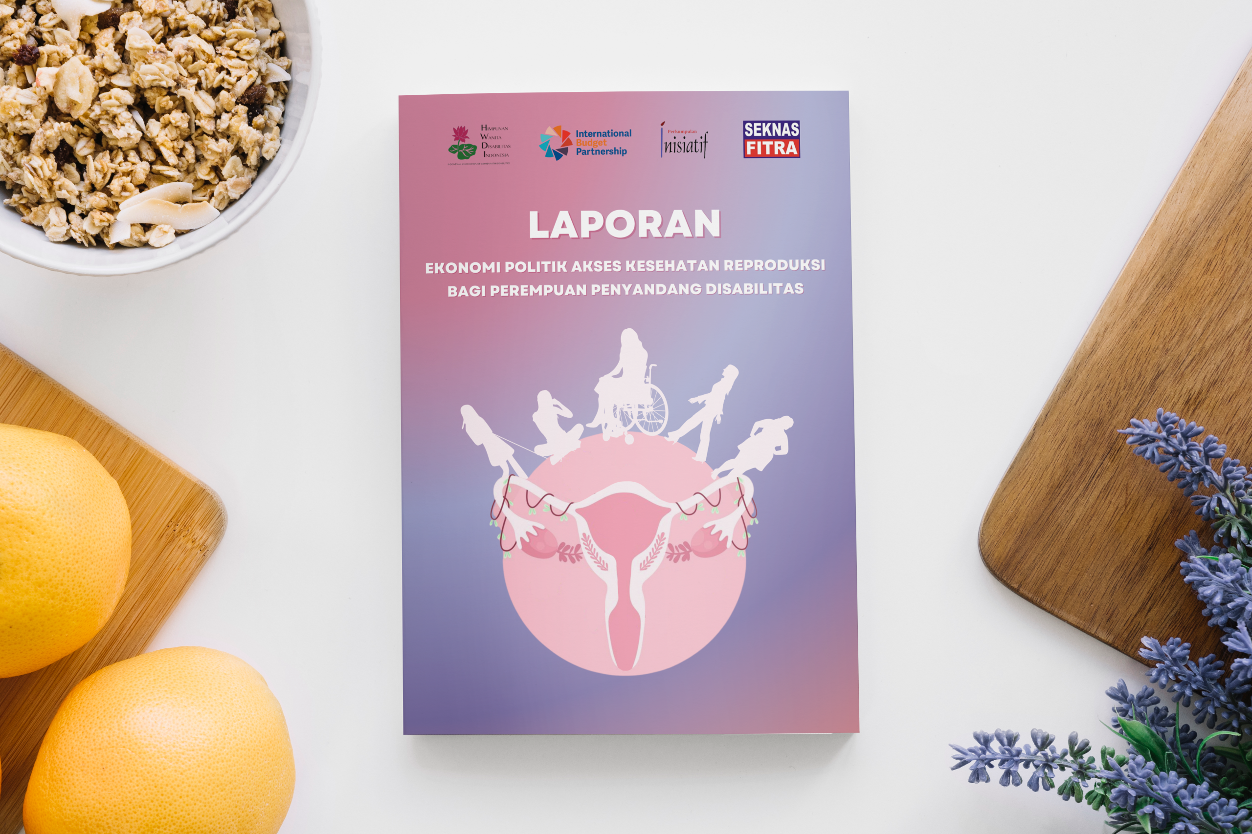 Laporan Ekonomi Politik Akses Kesehatan Reproduksi Bagi Perempuan Penyandang Disabilitas
